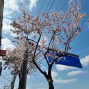 탄현로 이미지