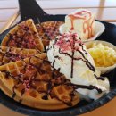 러브독애견카페 이미지