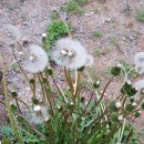 유경농장 이미지