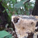 백운사 경내 이미지