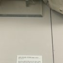 숙명여자대학교 정영양자수박물관 | 서울 무료 전시 | 섬유예술의 역사를 기록하다 (숙명여대 박물관)