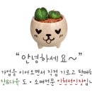 관용농장 이미지