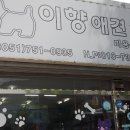 이향애견살롱 | 부산 연산동 애견샵. 이향애견살롱 아기 미용후기.