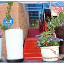 내성천펜션 이미지