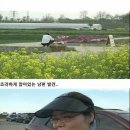 농부왕 Daum카페