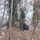 대동식당민박 이미지