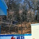 기흥서일주유소 이미지