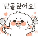 어게인1984 이미지