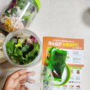 풀무원녹즙 보틀샐러드 지구식단으로 더 맛있는 보틀샐러드 5종 정기배송 후기