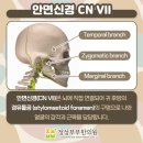 정성부부한의원 이미지