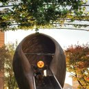 백양어린이집 | 이래저래 바쁘고 피곤한데 놀기 바쁜 11월 첫 일상