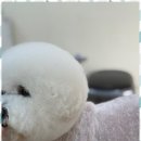 사계절, 멍 이미지