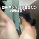 범계2구 | [리뷰] 범계타이마사지 등 관리 시원하니 살것같네