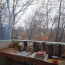 모티프원 이미지