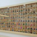 킹소아청소년과의원 이미지