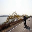 서면 자전거도로 이미지