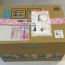 봄봄봄 | 짐패스 직구 후기 [봄봄봄 봄이왔네요~]