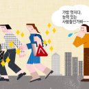 파노플리 이미지
