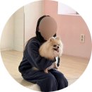 행복한강아지와고양이 | 경산 고양이카페 강아지카페 아이랑 실내 캣라운지