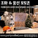 파티멜리시 이미지