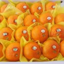 석화농장 이미지