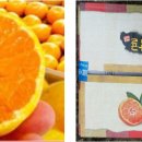 효돈동-7 이미지