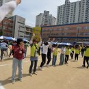 칠성초등 이미지