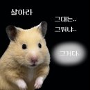 너땜에한잔 네이버블로그