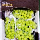 사과랑 고추랑 이미지