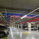 제니스QED골프아카데미 이미지