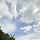 인화공원 화장실 2 | [평창 계곡 추천] 물 맑고 한적한 막동계곡 물놀이 포인트·수심·주차·화장실