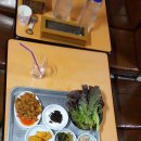 모정기사식당 Daum카페