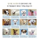 야호광고기획