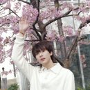 양수산