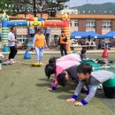 전주화정초등학교 이미지