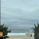 찾아 떠난 여름 삼척 여행 Day1 : 트리고, 레일바이크, 삼척중앙시장, 일품한우정육식당, 스테이용화 펜션