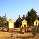 별주부전테마파크 이미지