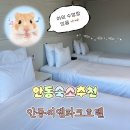 파크호텔 | 안동숙소추천 안동수영장호텔 씨엠파크호텔 후기