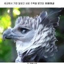 사진하는사람 이미지