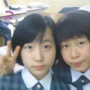 봉다리 이미지