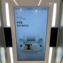 쩡PC | 일본 여행 비짓재팬 등록 방법 인천공항 제2터미널 스마트패스 오사카 간사이 공항 입국 절차는?