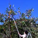 계곡의 아침 이미지