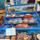 산골매실농원(산골이야기펜션) | 하동 촌캉스 시골여행 [산골이야기 펜션] 애견동반 힐링숙소