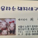 용을 타는 돼지네