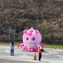 의성군 천제공원 화장실 | [의성여행] 경북 의성 도서리 남대천 구봉공원 '2026...개화 상황 벚꽃맛집 추천 내돈내산 실제 방문후기