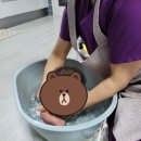 도담도담산후도우미 네이버블로그