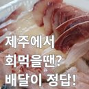 아싸살아있네 | 제주에서 회먹을땐 배달이 정답 : 아싸살아있네 회 배달 후기
