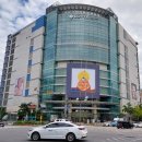 함영백소아과의원 | 잔여 백신으로 2차 맞은 20대 남성 화이자 후기 (노원 함영백소아과의원)