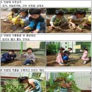 안양남초등학교병설유치원 이미지