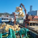 청정바다 이미지